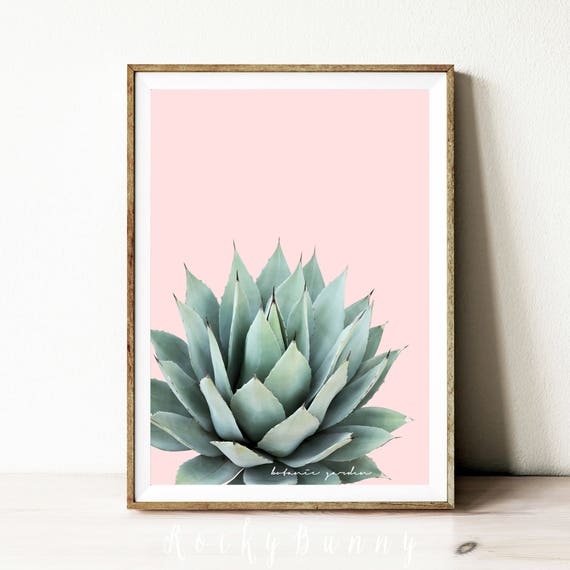 succulent printable wall art