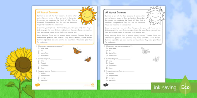 Comprehension Text About Summer | Reading Worksheet | ELA