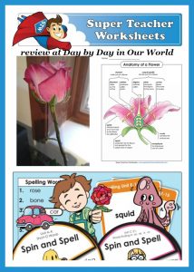super teacher worksheet free trial