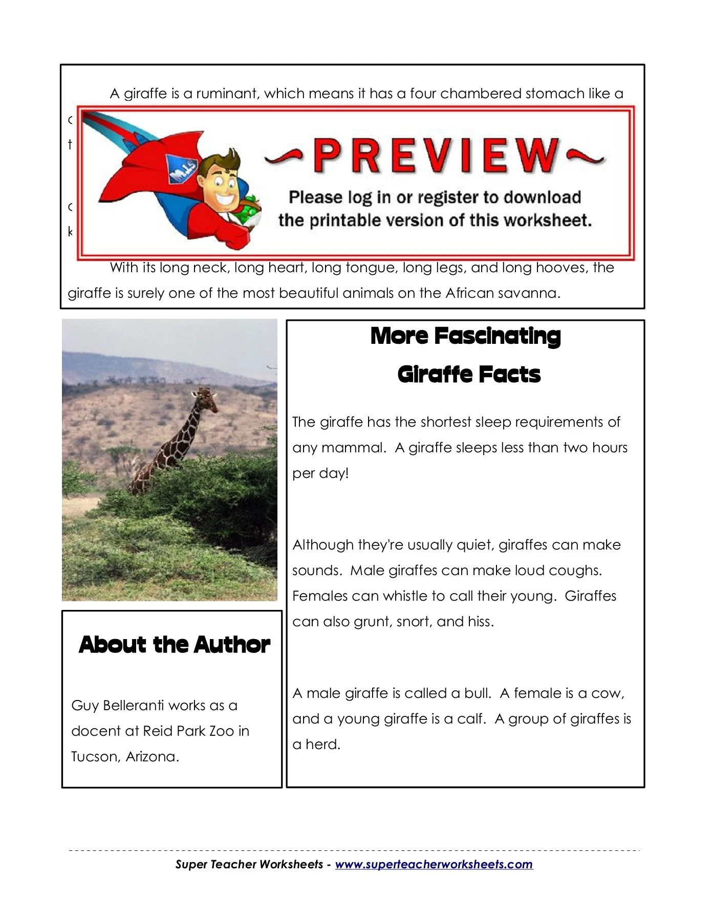 Name: The Long Giraffe - Super Teacher Worksheets