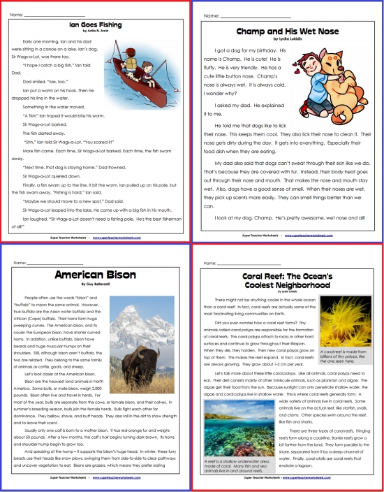 super teacher worksheet reading comprehension grade 3