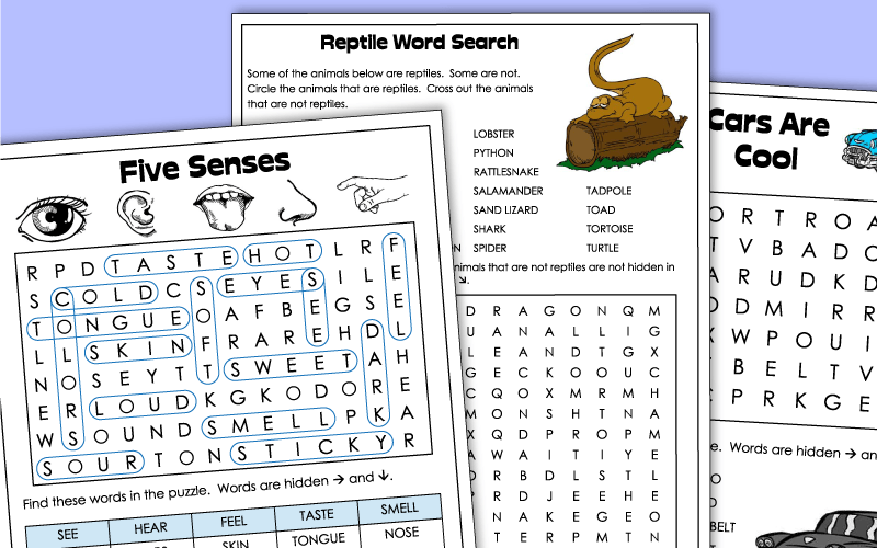 super teacher worksheet word search