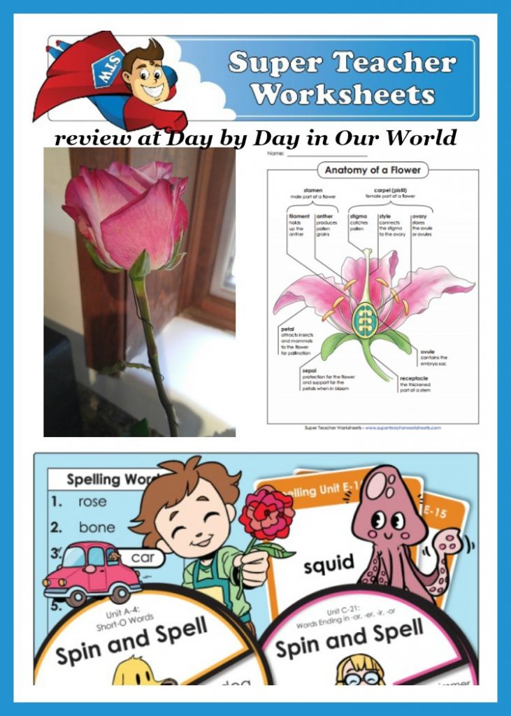 super teachers worksheet login