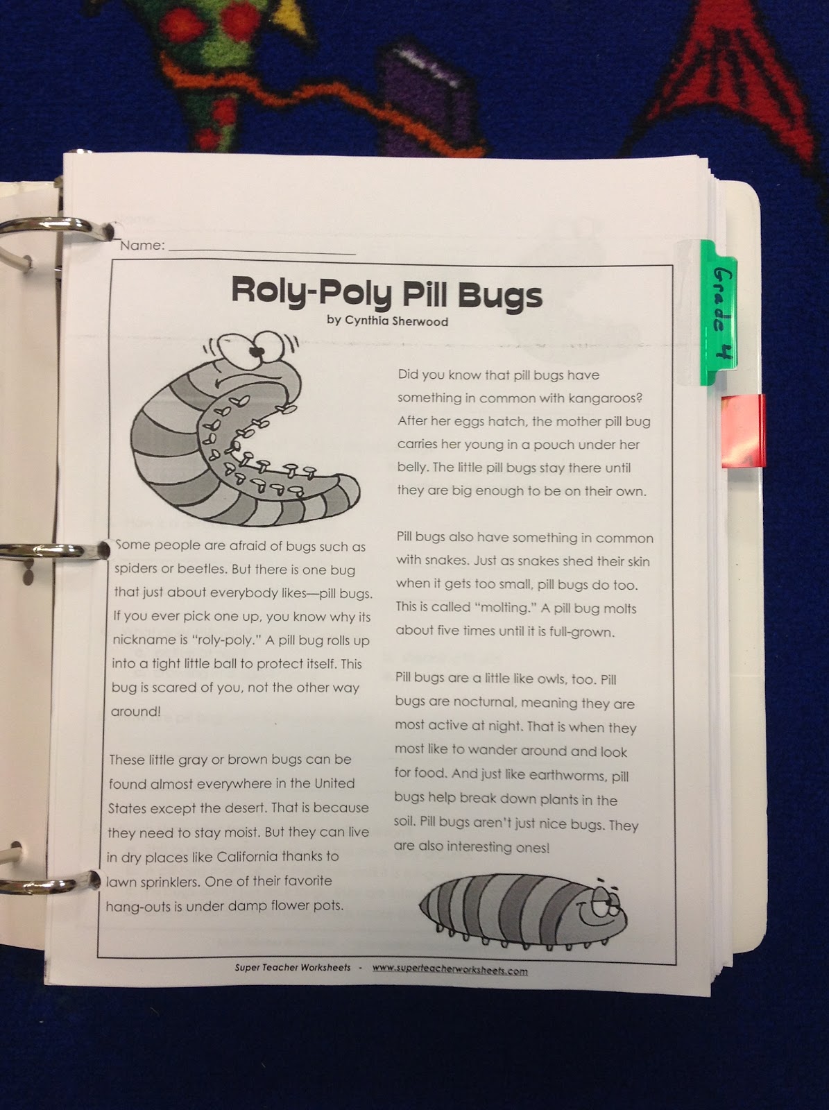 super teachers worksheet reading comprehension