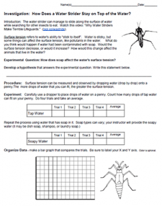 surface tension worksheet
