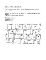 sw science 10 mitosis worksheet answers