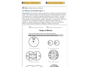 sw science 10 mitosis worksheet answers