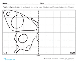 Symmetry | Worksheet 