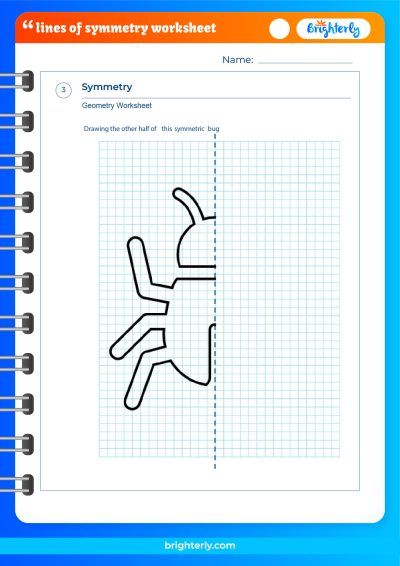 symmetry worksheet 4th grade