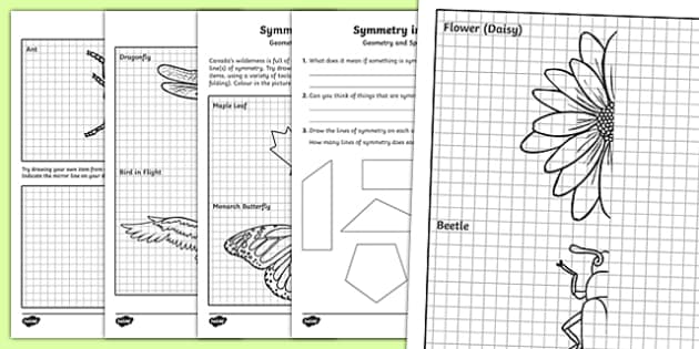 symmetry worksheet for high school
