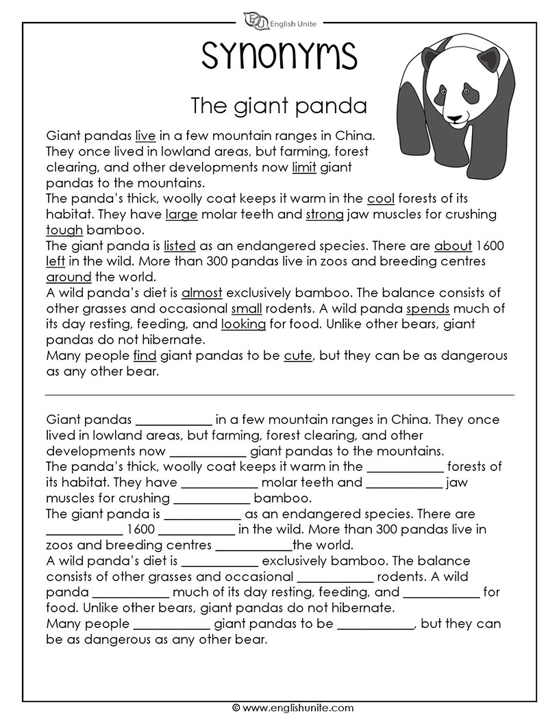 English Unite - Synonyms Worksheet 1