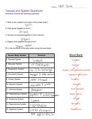 systems of the human body worksheet answers