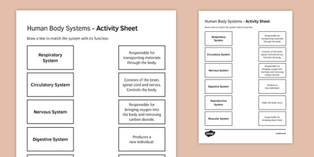 systems of the human body worksheet