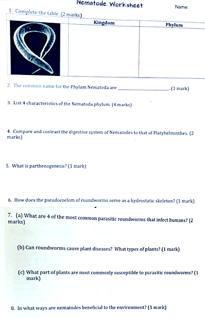 Solved Nematode Worksheet Name 1. Complete the table. (2 | Chegg.com