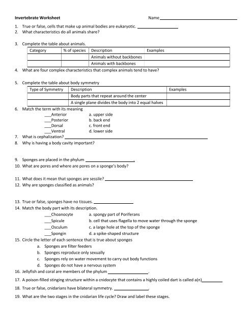 table 3 invertebrate worksheet