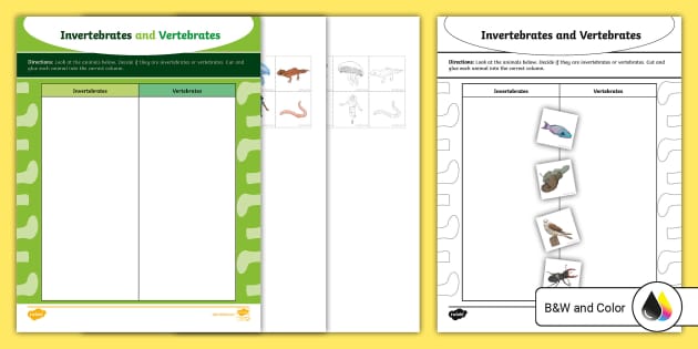 Invertebrates and Vertebrates Sorting Activity - Twinkl