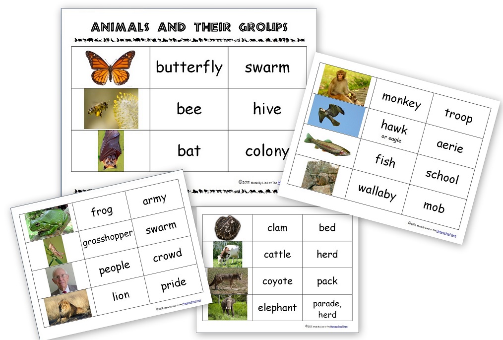 table 3 invertebrate worksheet