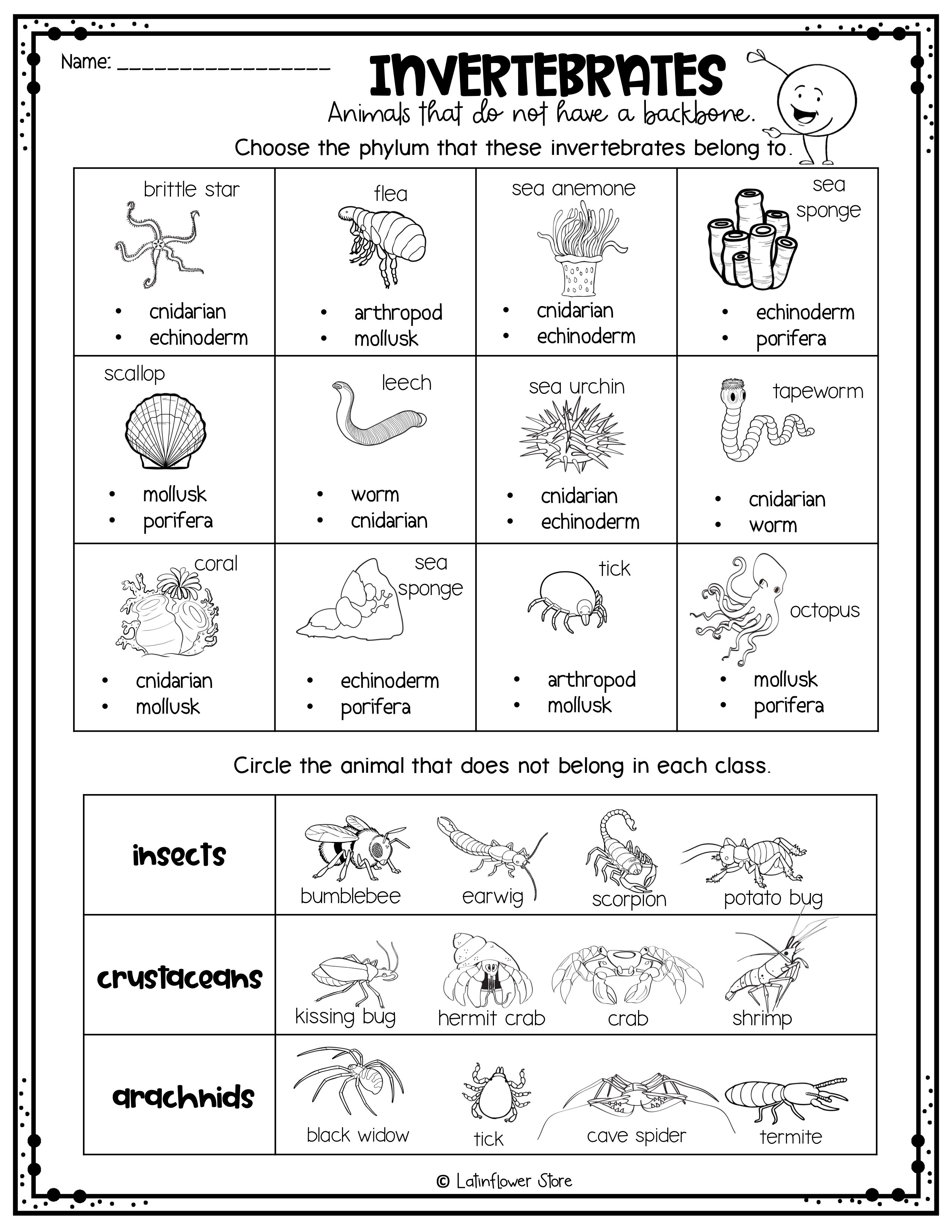 Vertebrate Invertebrate English ESL Worksheets For Distance, 44% OFF