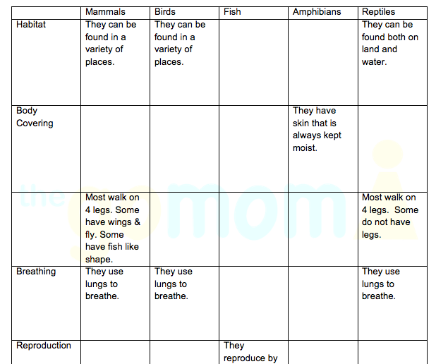table 3 invertebrate worksheet