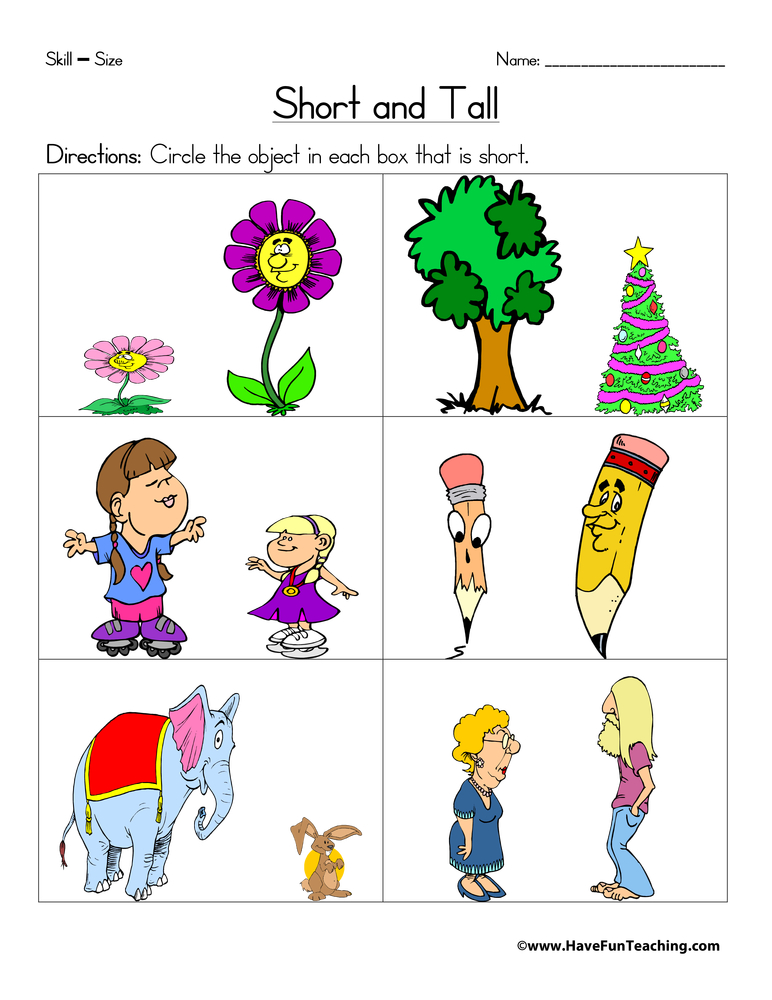 Short and Tall Worksheet  