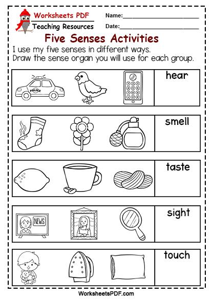 taste worksheet for kindergarten