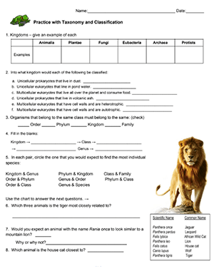 taxonomy classification worksheet