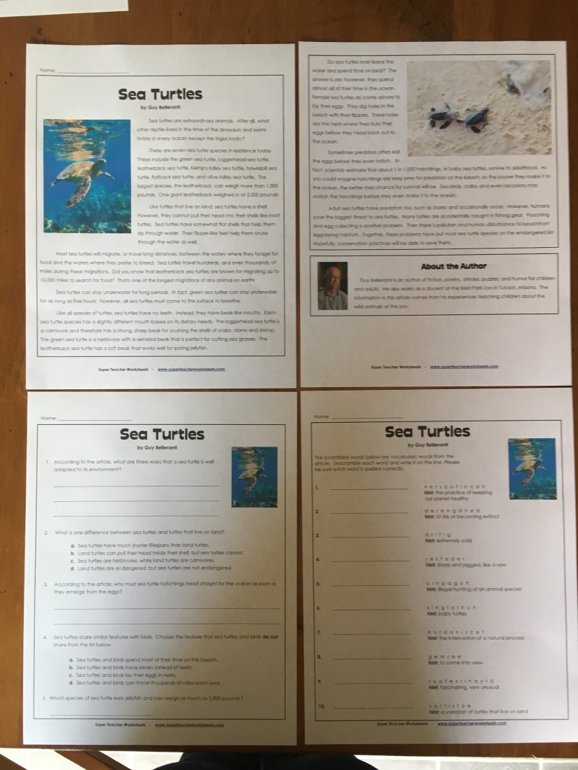 teacher worksheet and answer keys