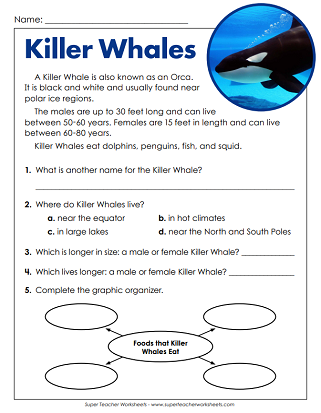 teachers worksheet for 2nd grade