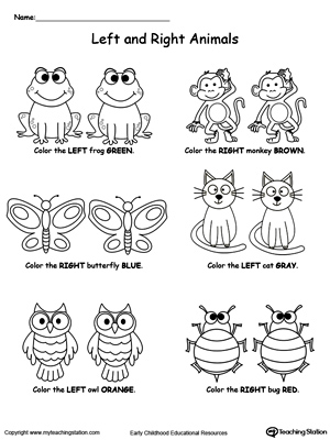 FREE* Left And Right Animals | MyTeachingStation.com