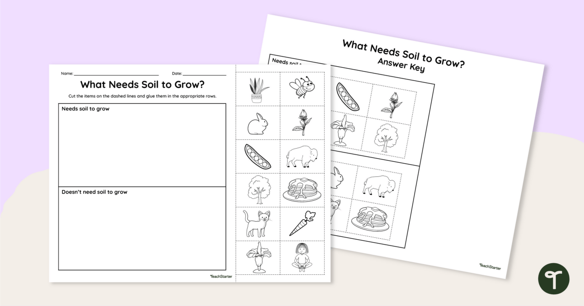 What Needs Soil to Grow? Cut and Paste Worksheet | Teach Starter