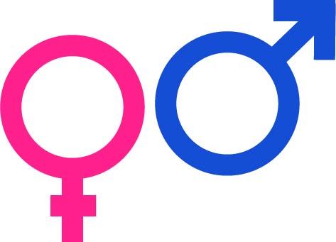 teen sexuality worksheet