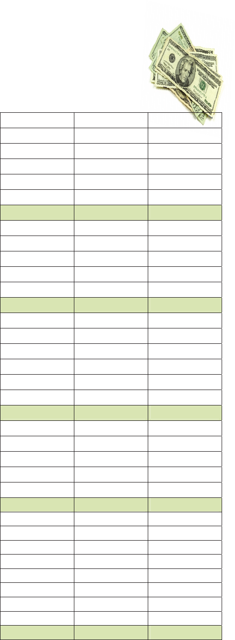 teenage budget worksheet