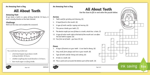 FREE! - All About Teeth Crossword Activity - Primary Resources
