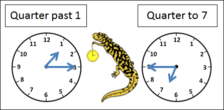 Time Worksheet Oclock, Quarter, and Half past