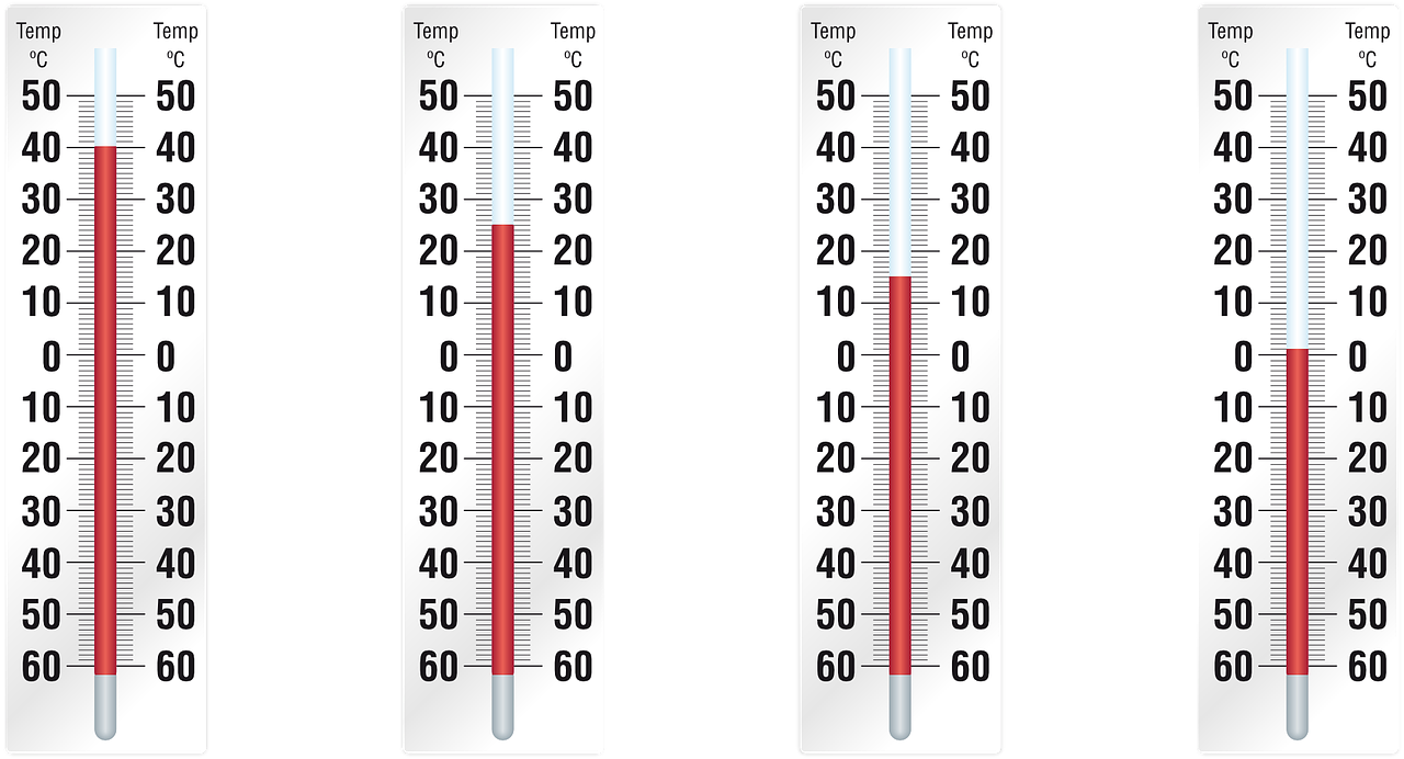 Adapting Temperature Worksheet - Paths to Literacy