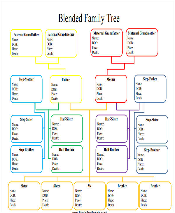 template family tree with siblings