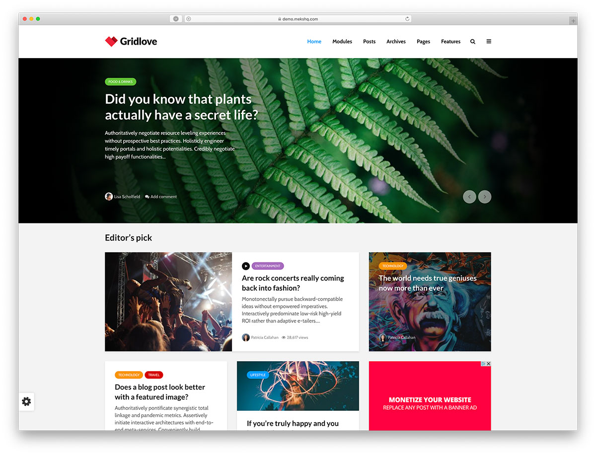 23 Best Masonry Grid WordPress Themes (2024) - Colorlib
