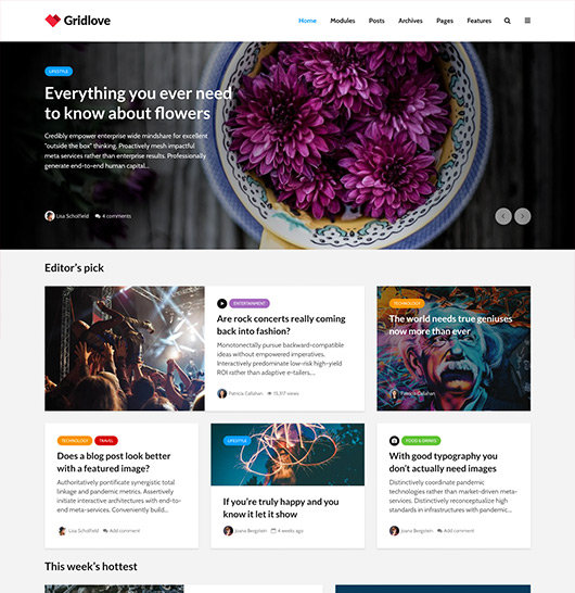 Gridlove - WordPress grid theme for blog, news &  magazine sites - Meks