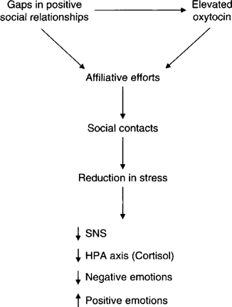 Tend-and-befriend: The relationship hack to better manage stress ...