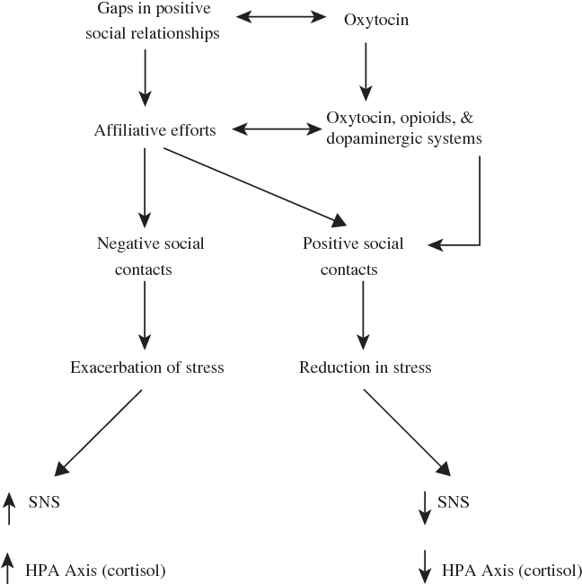 CURRENT DIRECTIONS IN PSYCHOLOGICAL SCIENCE Tend and Befriend ...