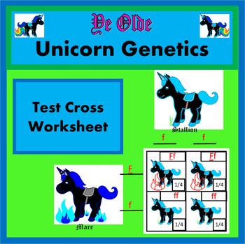 Test Crosses Activity (Test Cross Worksheet) | Middle school ...