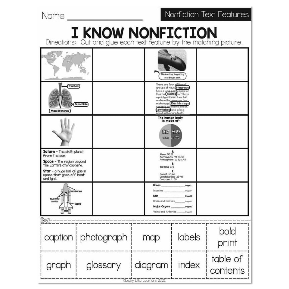 Winter - Early Finishers 1st Grade - ELA - Nonfiction Text ...