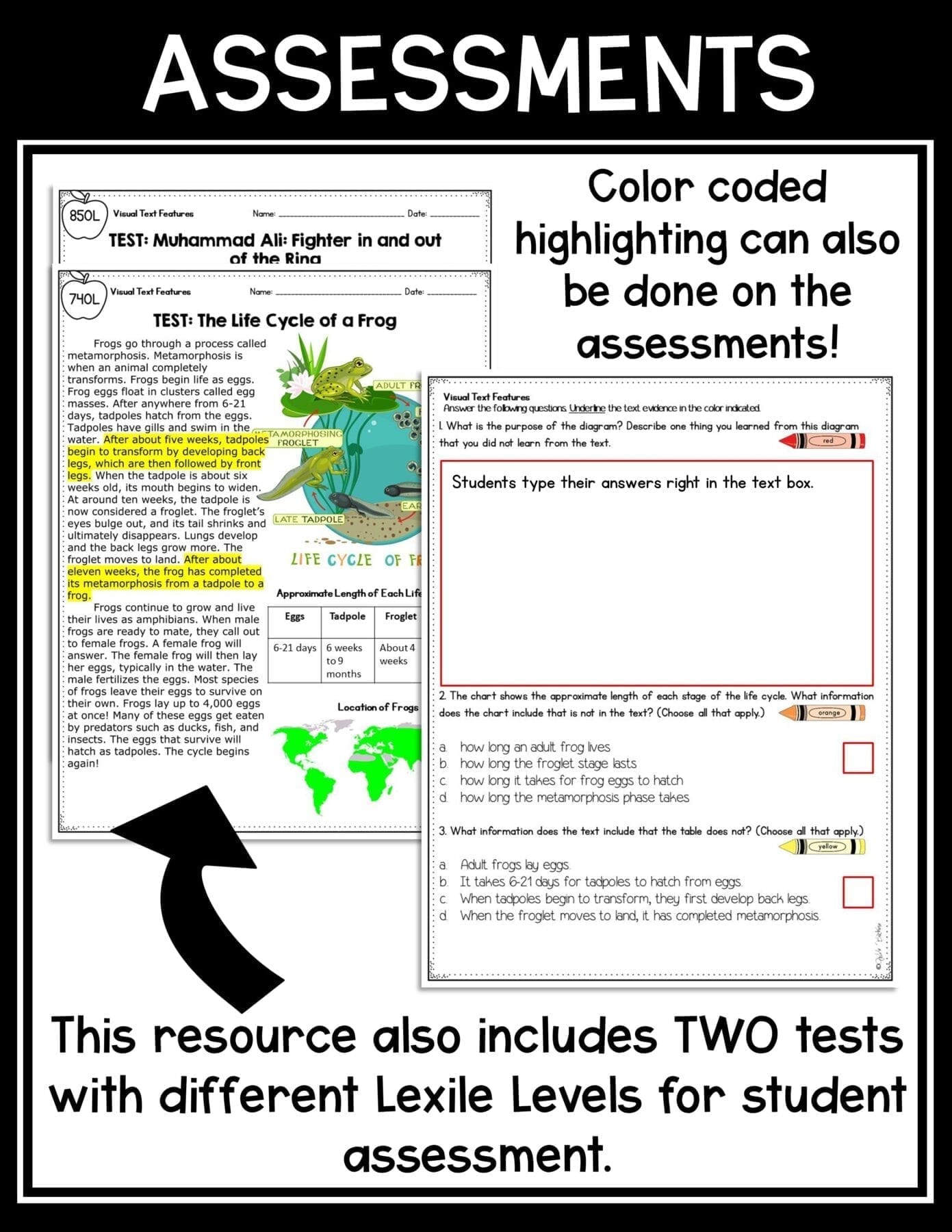 text features worksheet 4th grade