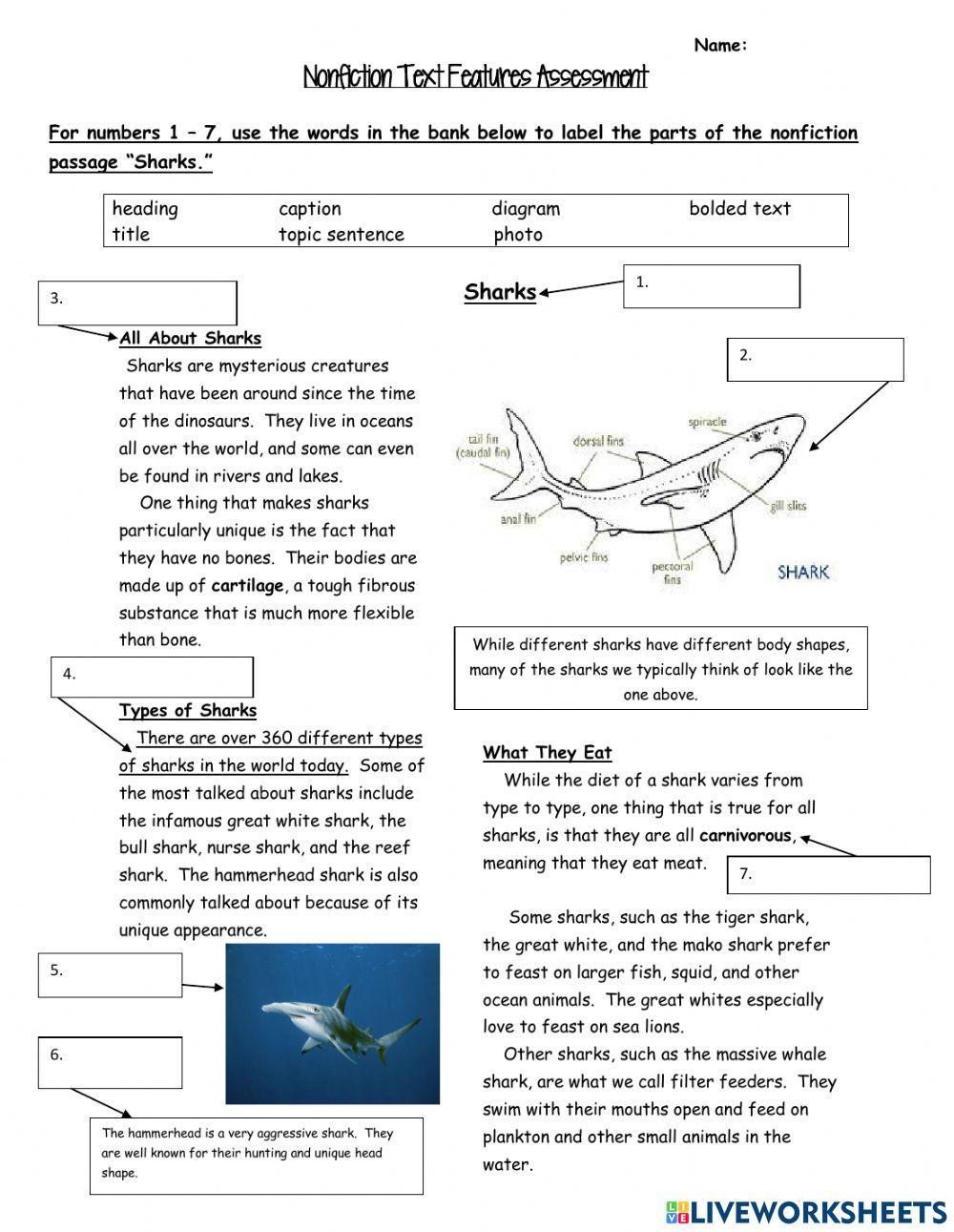 Sharks -Nonfiction Text Features worksheet  