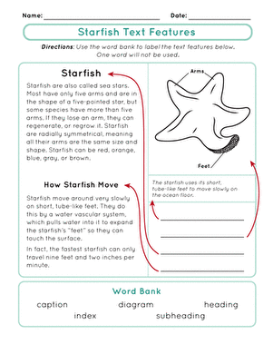 Starfish Text Features | Worksheet 