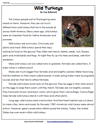 Thanksgiving Worksheets