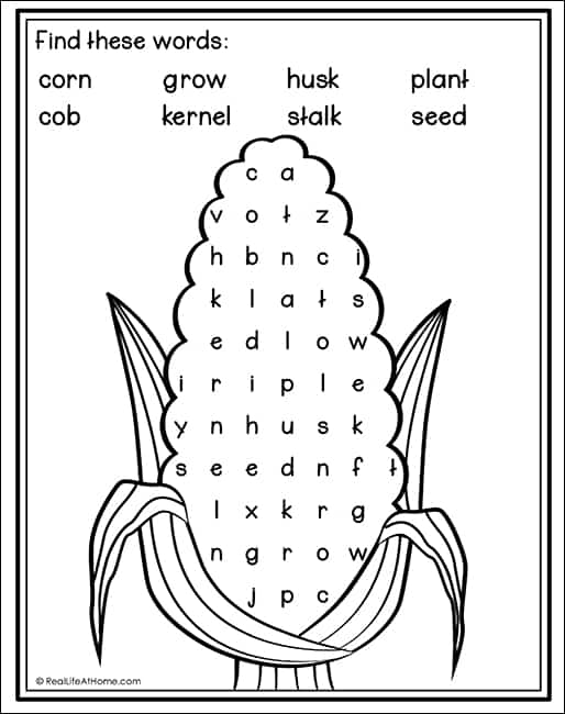 thanksgiving word search worksheet