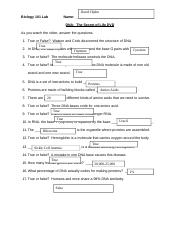 the blueprint of life worksheet answers