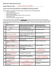 the blueprint of life worksheet answers