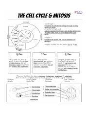 CellCycleMitosisNotesandMicroscopeLab-1-page-003.jpg - Cell-Fie ...